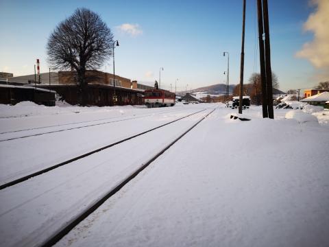 Fotografie Nemšová Train Station