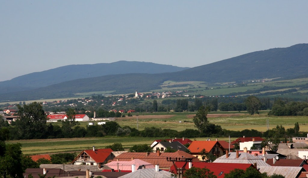 Železničná stanica Nižná Myšľa ŽELEZNIČNÁ STANICA