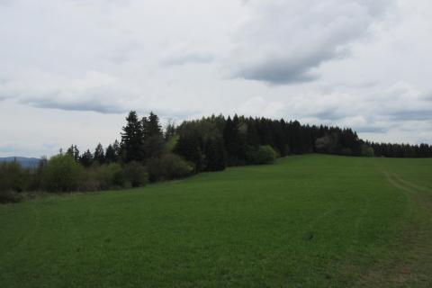 Fotografie Čremošné