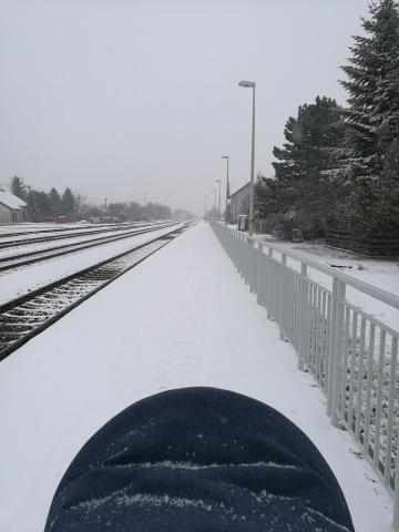 Fotografie Kvetoslavov