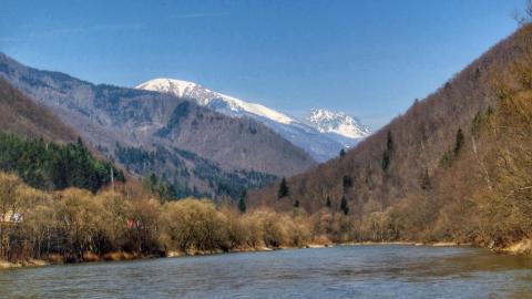 Fotografie Kraľovany