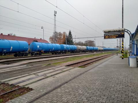 Fotografie Šaľa