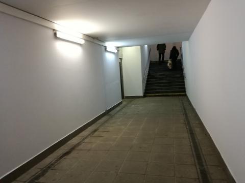 Fotografie Rača