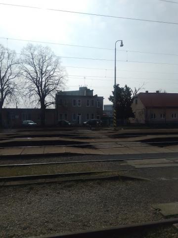 Fotografie Šaľa