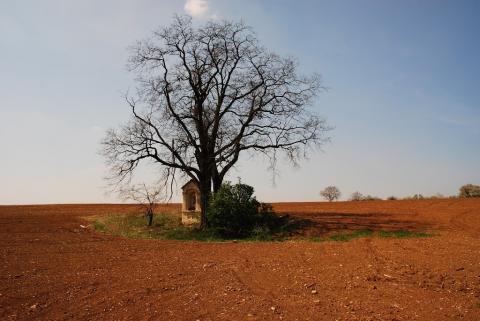 Fotografie Haniska pri Košiciach