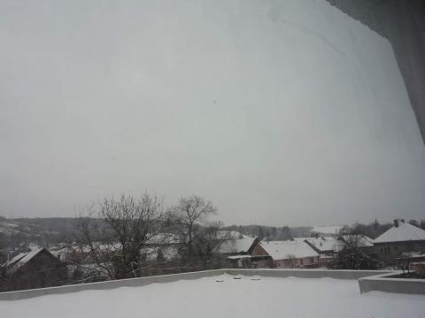Fotografie Plešivec