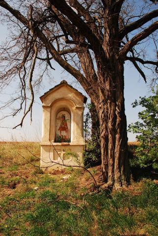 Fotografie Haniska pri Košiciach