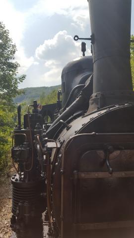Fotografie Tisovec
