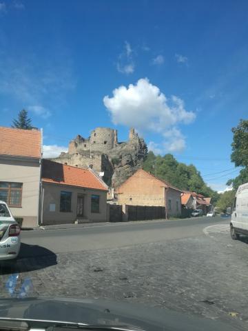 Fotografie Dubová