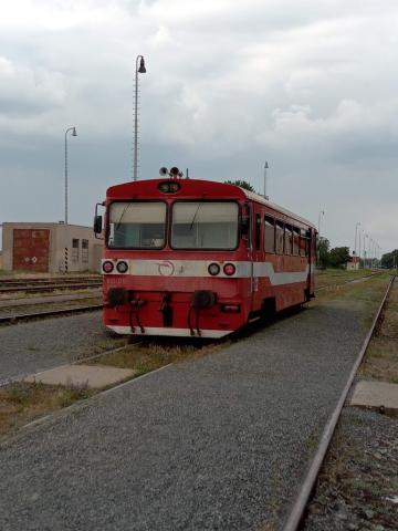 Fotografie Čata