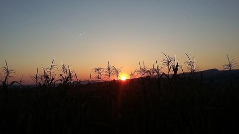 Fotografie Moldava nad Bodvou