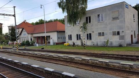 Fotografie Slanec