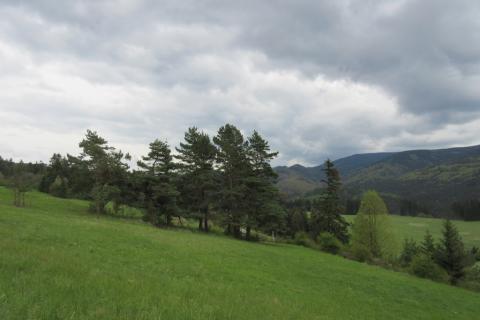 Fotografie Čremošné