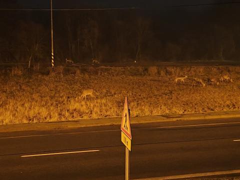 Fotografie Stakcin Train Station