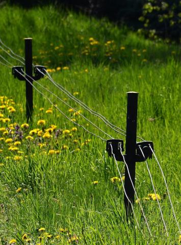 Fotografie Párnica Train Station