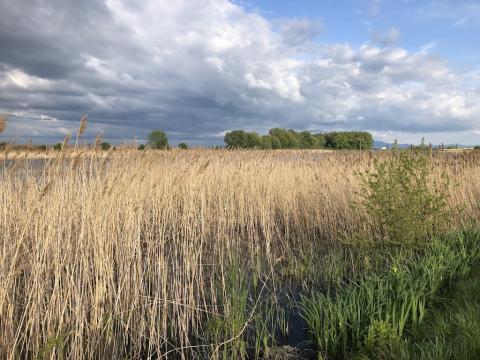 Fotografie Tekovské Lužany