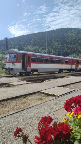 Fotografie Oravský PodzámokTrain Station