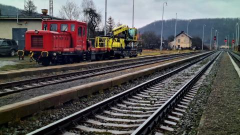 Fotografie Vígľaš