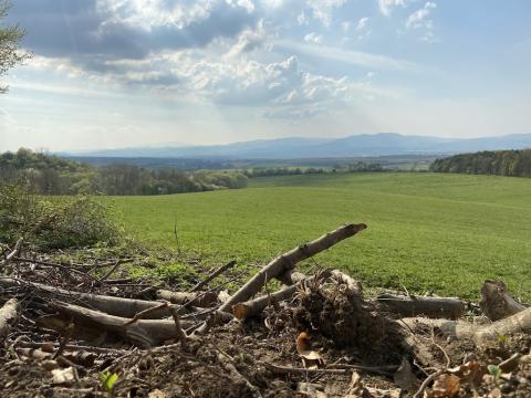 Fotografie Mníchova Lehota Train Station