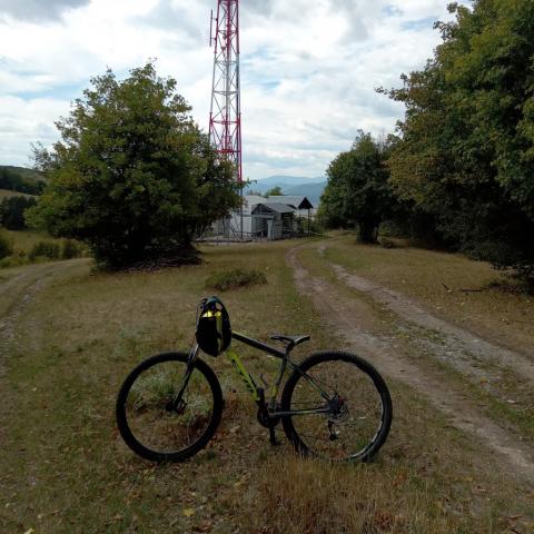 Fotografie Lipovník