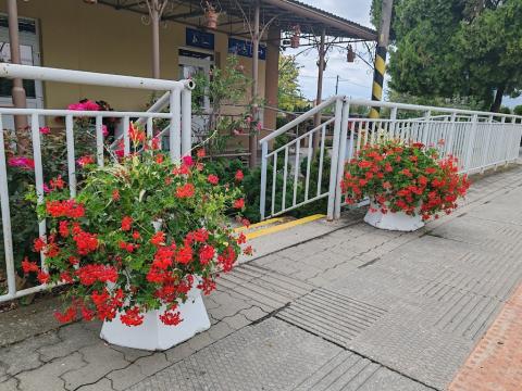 Fotografie Orechová Potôň Train Station