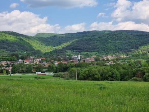 Fotografie Lipovník