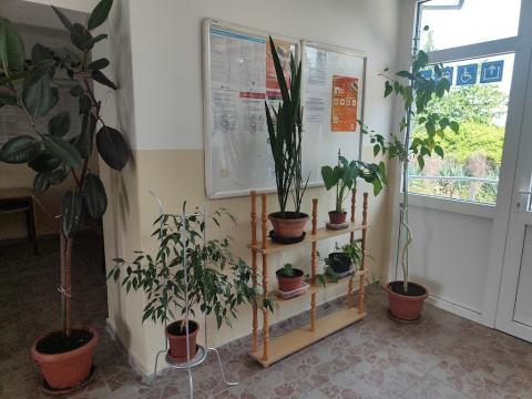 Fotografie Nové Košariská