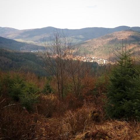 Fotografie Gelnica Train Station