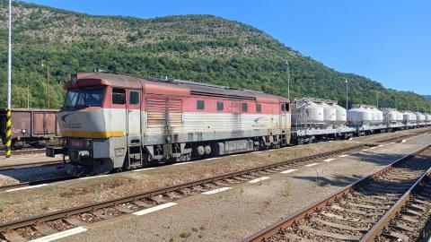 Fotografie Plešivec