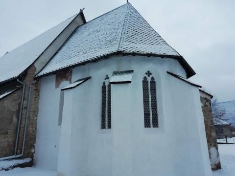 Fotografie Plešivec