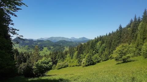 Fotografie Medzibrodie nad Oravou Train Station
