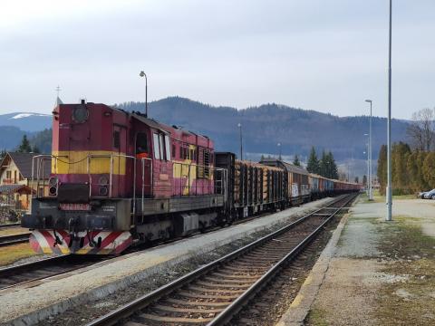 Fotografie Medzibrodie nad Oravou Train Station