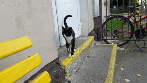 Fotografie Bošany Train Station