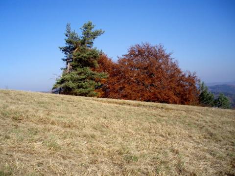 Fotografie Lednické Rovne