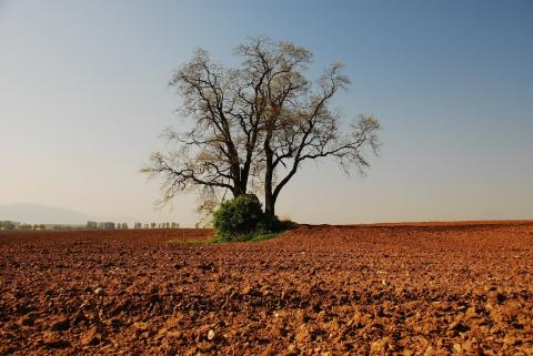 Fotografie Haniska pri Košiciach