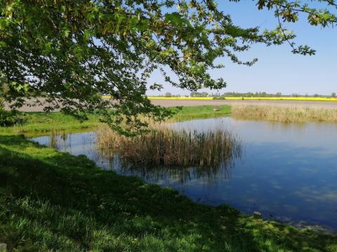 Fotografie Dvory nad Zitavou Train Station