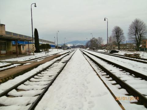 Fotografie Nemšová Train Station