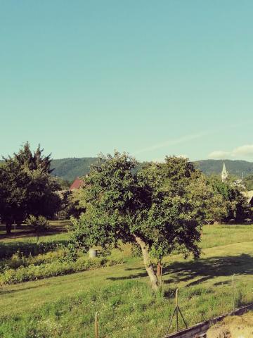 Fotografie Chrenovec Brusno Chrenovec Train Station