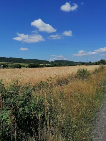 Fotografie Chrenovec Brusno Chrenovec Train Station