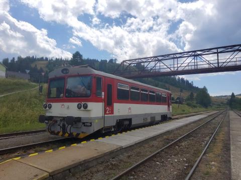 Fotografie Mlynky Train Station
