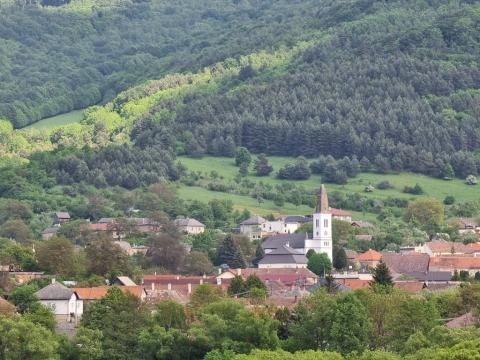 Fotografie Lipovník