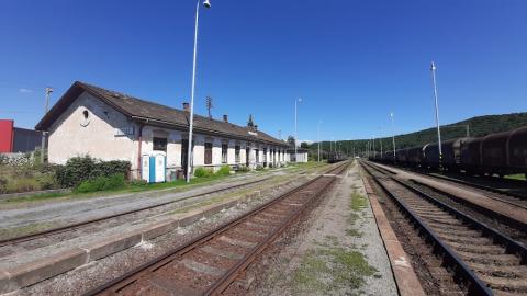 Fotografie Vígľaš