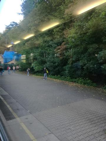 Fotografie Nemecka Dubova Train Station