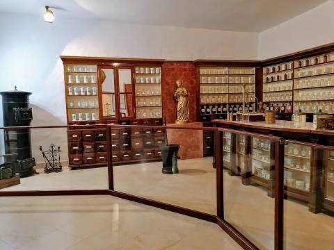 Fotografie Levický hrad