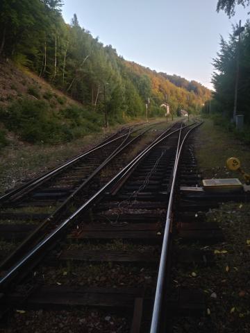 Fotografie Bartošova Lehôtka Train Station