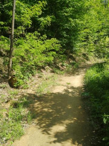 Fotografie Kostoľany nad Hornádom Train Station
