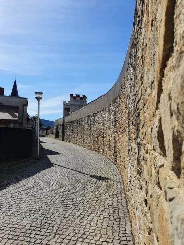 Fotografie Bardejov Train Station
