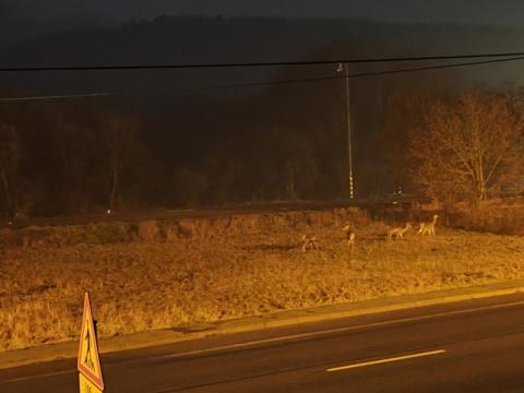 Fotografie Stakcin Train Station
