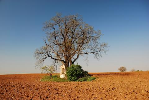 Fotografie Haniska pri Košiciach