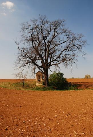 Fotografie Haniska pri Košiciach